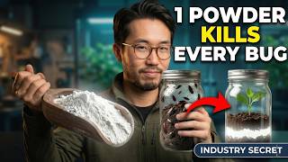 This $4 Powder Kills Every Bug in 72 Hours. Why Did the Pesticide Industry Hide It for 100 Years?