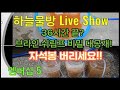 구피를 건강하고 예쁘게 키우려면 브라인쉬림프 구피를 건강하고 예쁘게 키우려면 브라인쉬림프