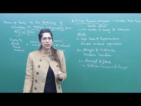 NEET Biology | Neolamarckism and Darwinism | Theory & Problem Solving | In Hindi | Misostudy