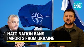 Big blow to Zelensky's Ukraine; Four EU nations ban grain imports amid Russia's war | Details