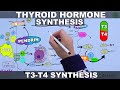 Thyroid hormone synthesis  t3  t4