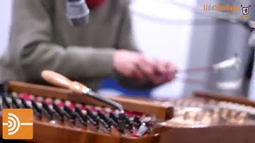 ESCENA VIVA ; Sineste Trio - Bitidijili