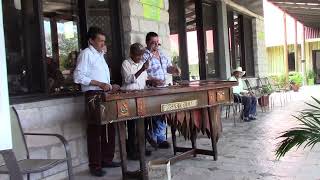 Honduran Musicians