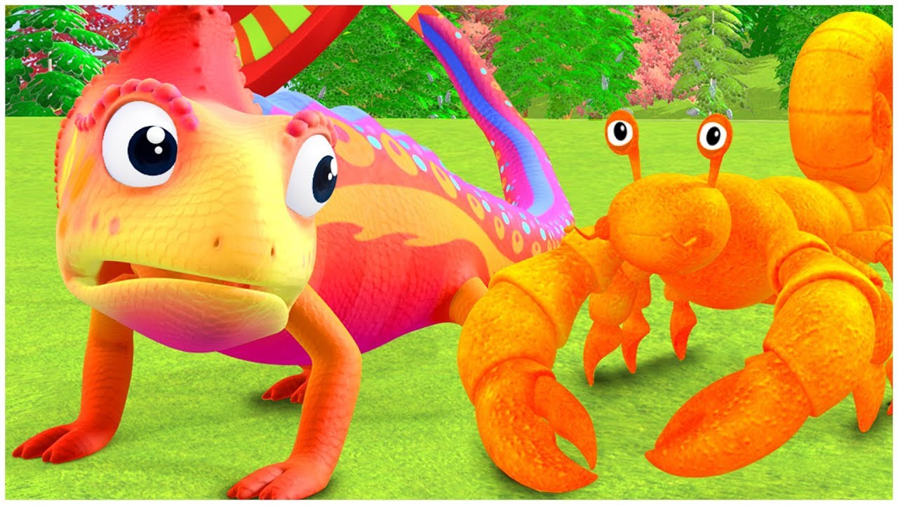 Best preschool TV shows HERMIT CRAB'S NEW HOME Everythings Rosie