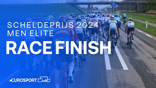 SUPER SPRINT 💨 | Scheldeprijs 2024 Men's Elite Race Finish | Eurosport Cycling