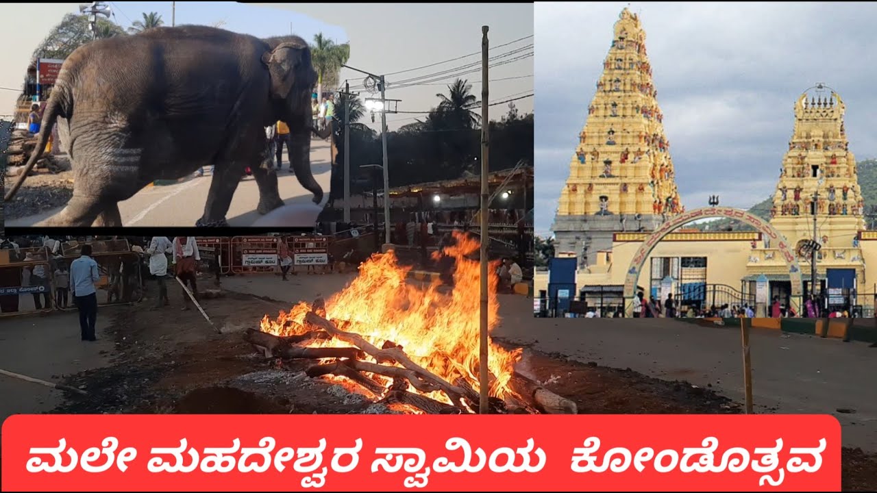 ಮಲೇ ಮಹದೇಶ್ವರ ಸ್ವಾಮಿಯ  ಕೋಂಡೊತ್ಸವ MALE MAHADESHWARA BETTA KONDOTHSAVA