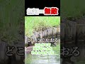 このゲームにおいては無知=無敵理論 #shorts #春雨麗女 #あおぎり高校