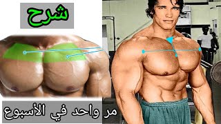 5 تمارين الصدر العلوية يجب على الجميع لعبها !! شرح كامل - Upper Chest