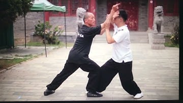 Master Zhang Xin Ming demonstrating Sun Style push hands.