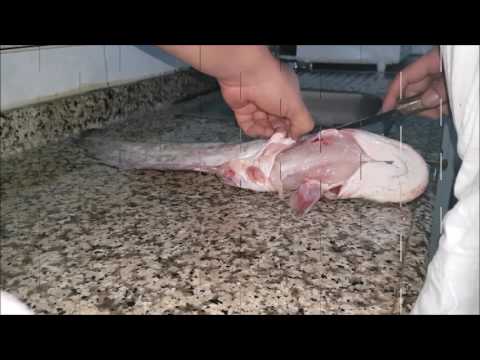 Video: Mantarlı Yayın Balığı Fileto Ruloları Nasıl Yapılır