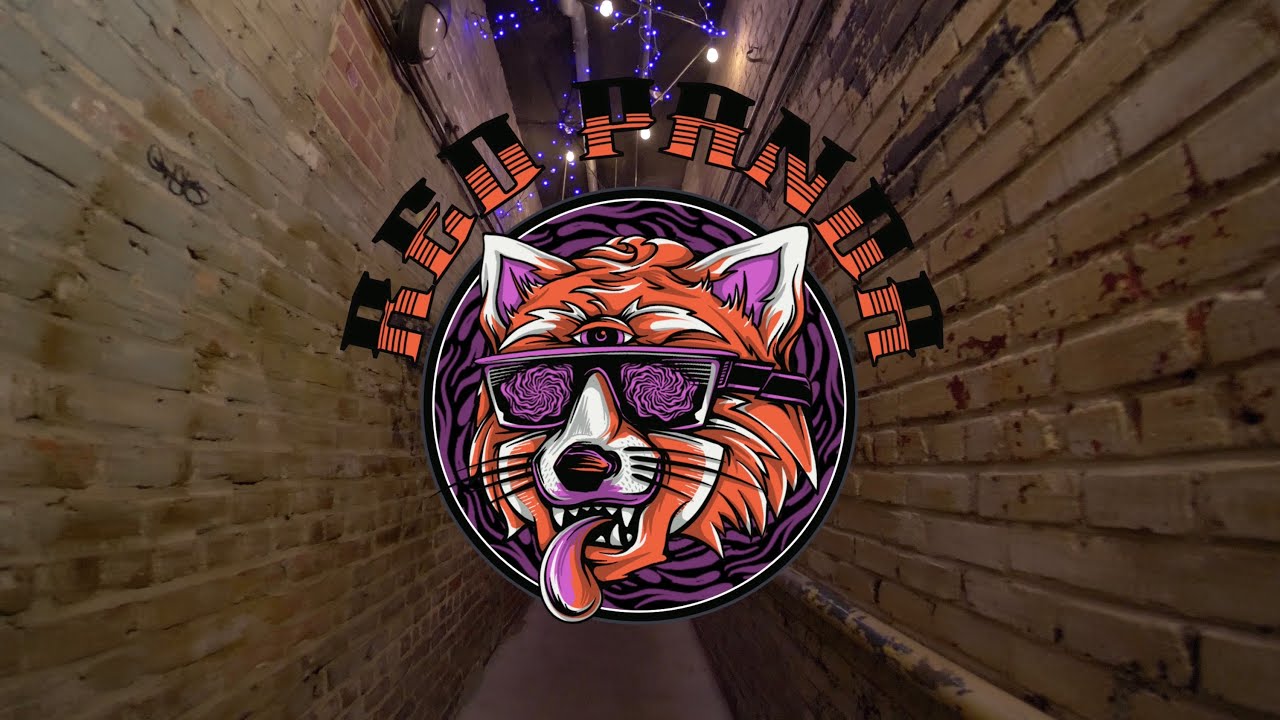 Red Panda Singer Red Panda - Live From The Pour House Music Hall [Full Live Album Video ...
