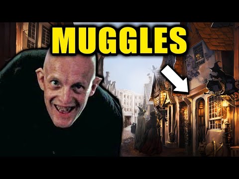 ¿Pueden los Muggles Entrar al Caldero Chorreante? – Harry Potter Explicado