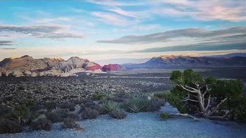 2018 DLF Opening Forum Plenary