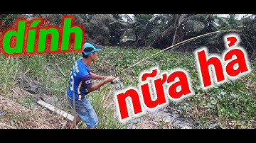 Đi SĂN HUGO MÀ GẶP TOÀN THƯ DỮ// CÂU CÁ MIỀN TÂY