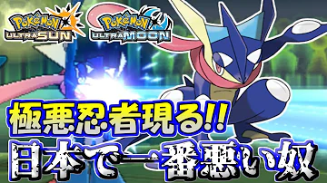 ポケモン Usumバグ