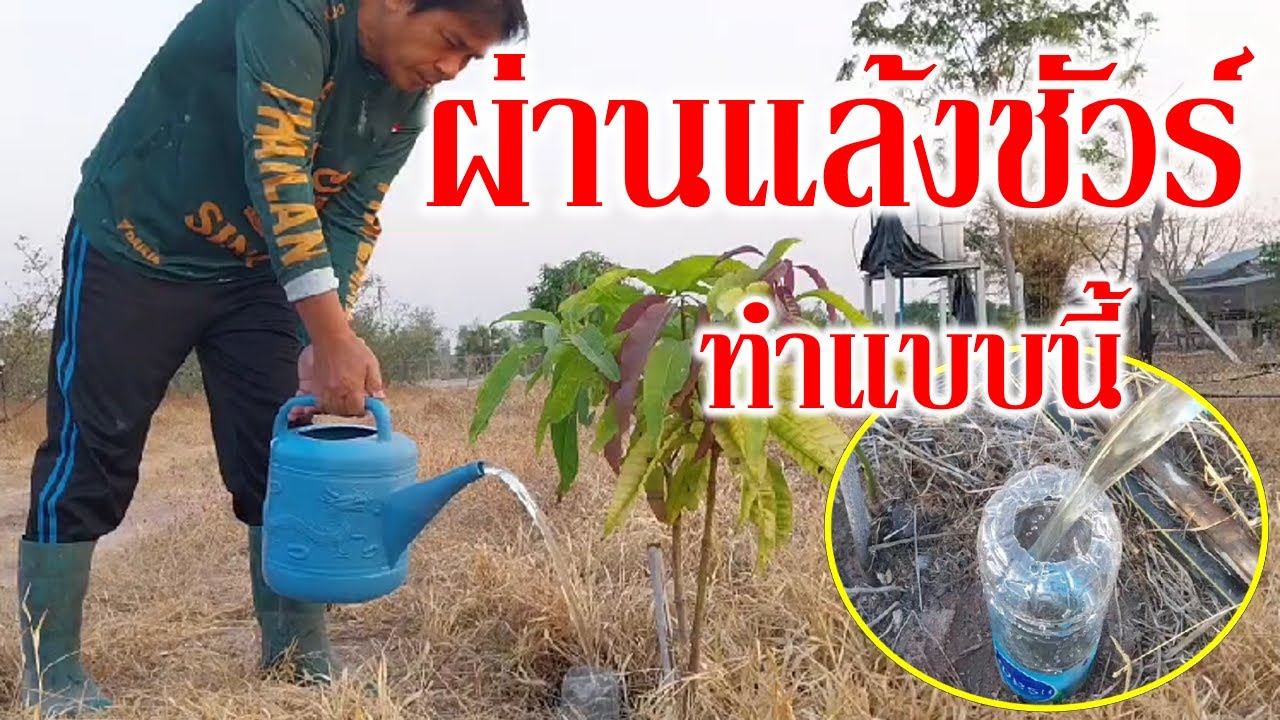 ใช้น้ำอย่างคุ้มค่า ในฤดูร้อนที่กำลังมาถึง รดน้ำต้นไม้ ให้ความชุ่มชื้นอยู่ได้นานกว่าการรดแบบแบบเดิมๆ