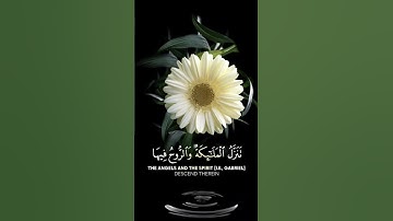 حالات واتس اب مقاطع قصيره قران كريم سورة القدر القارئ سعد الغامدي بدون حقوق #رمضان