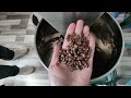 RealTech Mini Roasted Coffee Bean Color Sorter Machine Small Color Sorter Machine
