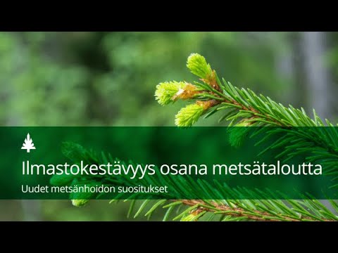 Video: Miksi pinta-ala vaikuttaa sääolosuhteisiin?