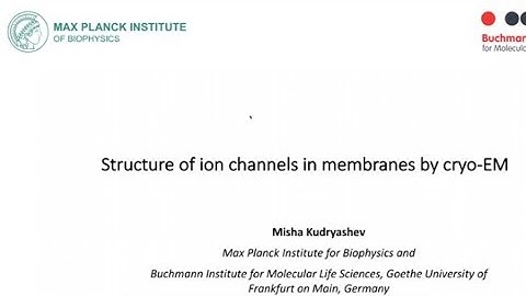 IMpaCT Cryo-EM Webinar series with Misha Kudryashev