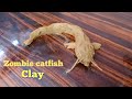 Zombie catfish in red clay  murali views 