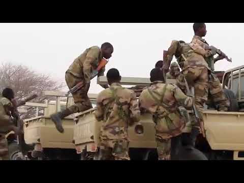 Warana Duri Oromo Dhawa Ture