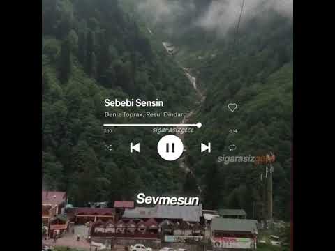 Resul Dindar - Sebebi Sensin