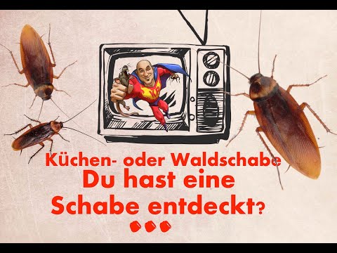 Schaben, Waldschaben