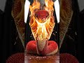 SNAKE IS BURNING 🤯🤯|||||| #shorts #short #ytshorts #yt #ytshort #skeleton #memes #meme