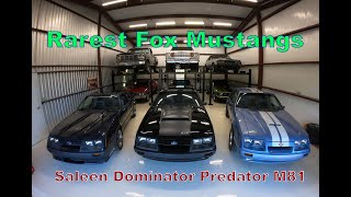 The Rarest Fox Mustangs?