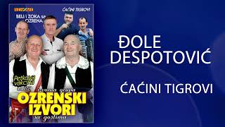 Djole Despotovic - Cacini tigrovi (Audio 2022)