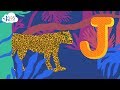 Identifying Words and Sounds Starting with J