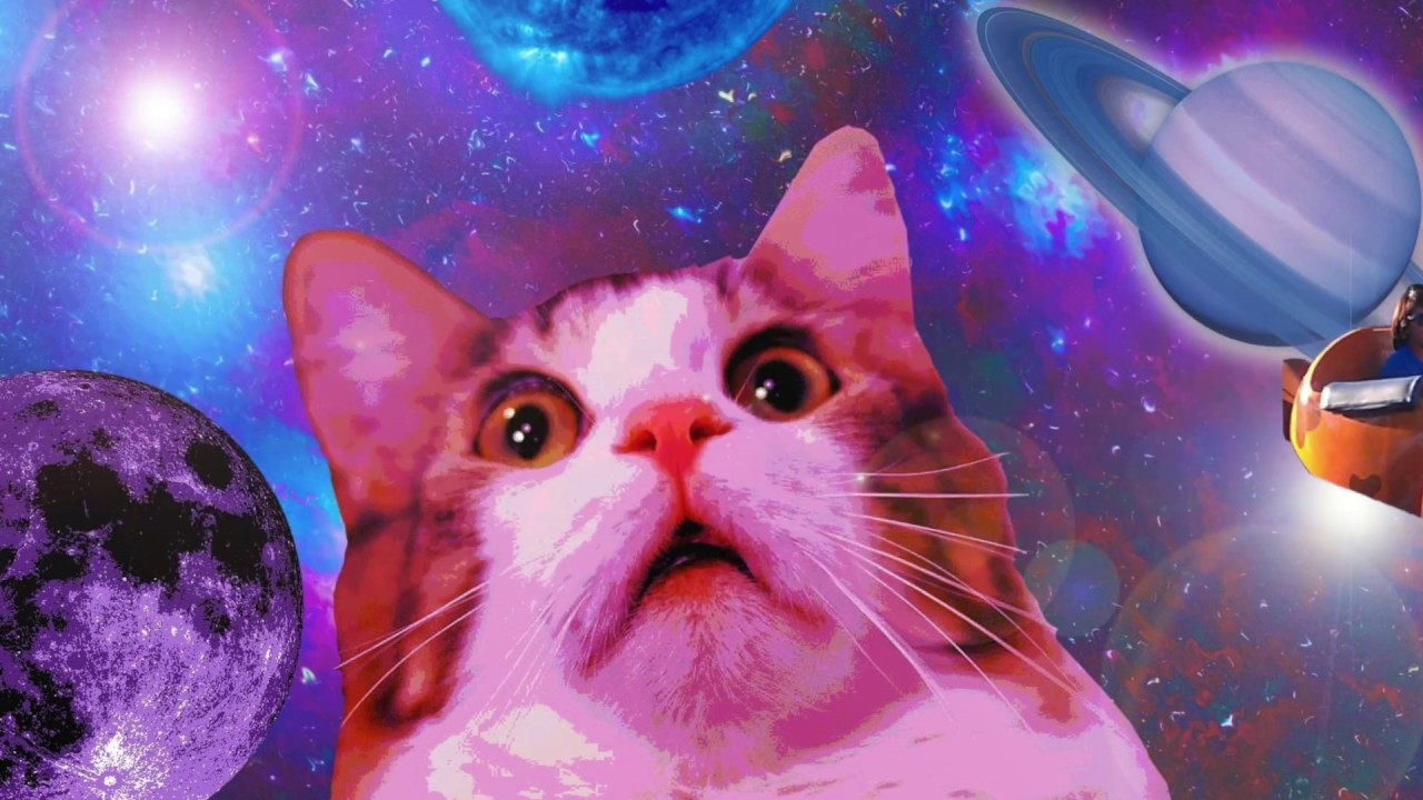 Phenom || Official Music Video || Out of Pocket