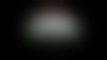 Papers, Please - Ending 20 - No Commentary