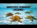 ARRECIFES CERRADOS EN COZUMEL / EL CIELO / adunadjtv Ft. sebitastrip