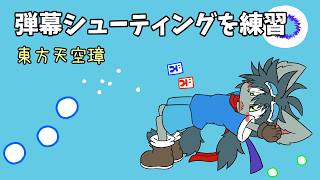 練習（東方天空璋）