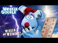 Was du über das Wetter wissen musst und warum es so wichtig ist l WOOZLE GOOZLE Mp3 Song