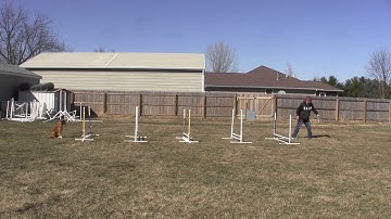 Ten!  Susan Salo Equal Distance Jump Grid