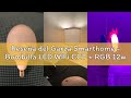 Reseña del Garza Smarthome - Bombilla LED WiFi CCT + RGB 12w Globo E27 inteligente y programable, ca