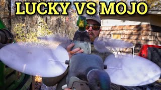 Mojo Vs Lucky (Lucky Duck Spinner HDI Unboxing!!)