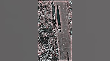 Mahadev aur nandi 🙏🏻🔱💪🚩 || #mahadev #nandi #4kfullscreenstatus #shorts || @PavitraEditz7