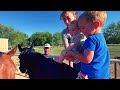 HOW WE TEACH THEM - HORSES AND KIDS