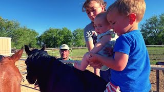 HOW WE TEACH THEM - HORSES AND KIDS
