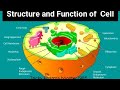 Structure and Function of Cell ||B.Pharma-1sem||HAP||Unit-1part-4|D.Pharm||#AKTU