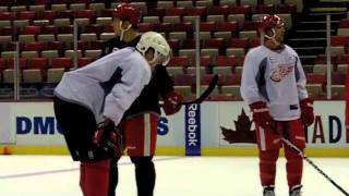 DMC Red Wings Docs...on Concussion Prevention