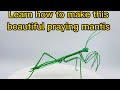 How to make a praying mantis with wire