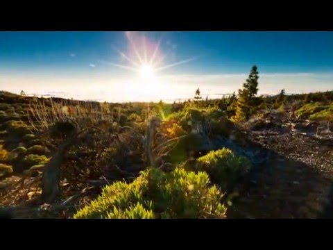 Красивые и душевные видео ролики Потрясающе видео звездного неба и природы в ускоренной съемке