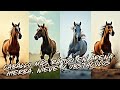 🔴 🏇 El Caballo Más Rápido en Arena, Hierba, Nieve y Obstáculos – ¡Descubre Quién Gana!
