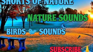 Nature experience Is Here To Stay. by Shorts of nature  No views 2 weeks ago 1 minute, 25 seconds