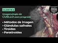 16.4 - Introducción a la imagen del cuello (glándulas salivales, tiroides y paratiroides)